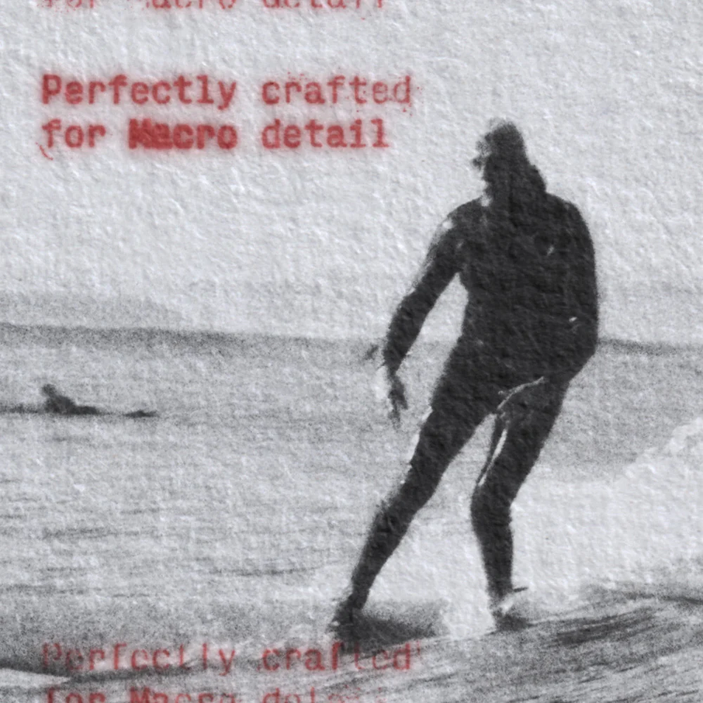 Bracken Macro Paper 8K宽度纹理贴图资产包 - 2400dpi微距设计素材下载