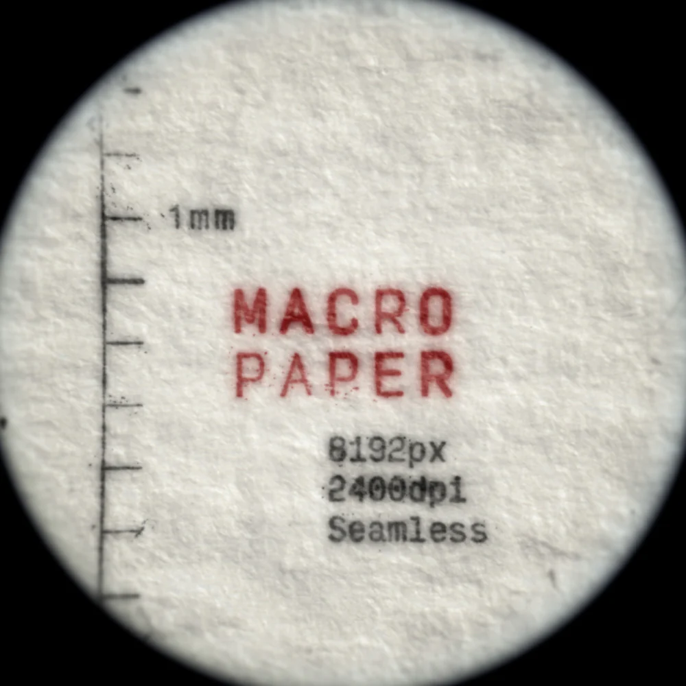 Bracken Macro Paper 8K宽度纹理贴图资产包 - 2400dpi微距设计素材下载